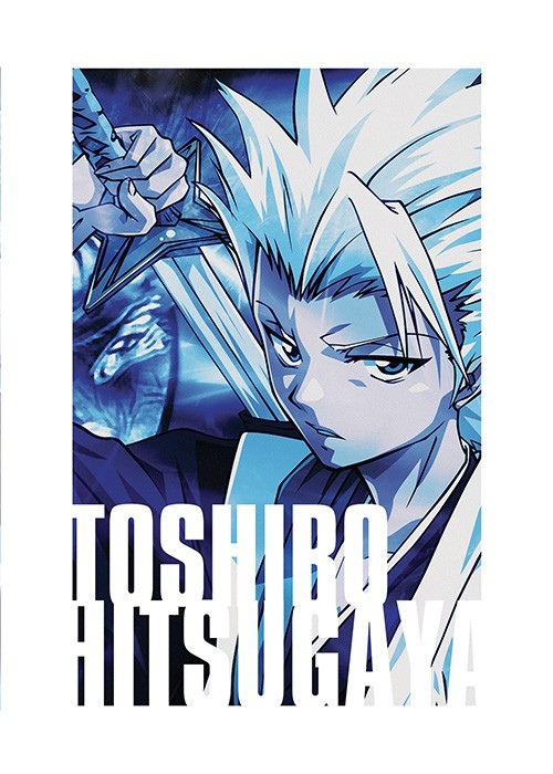 Αφίσες Poster Toshiro Hitsugaya