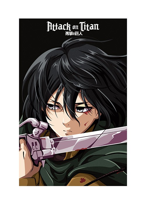 Αφίσες Poster Mikasa Αφίσες Poster Mikasa
