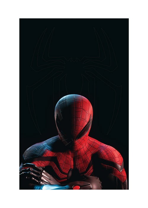Αφίσα Poster Spider Man