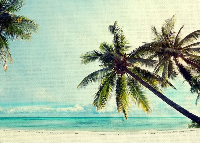 Θαλασσινό Τοπίο σε πίνακα με Τροπική παραλία