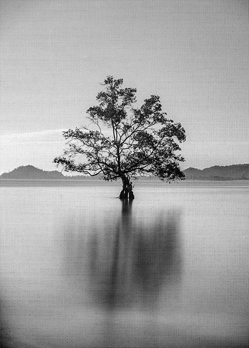 Τοπίο με Δέντρο στην λίμνη σε Πίνακα