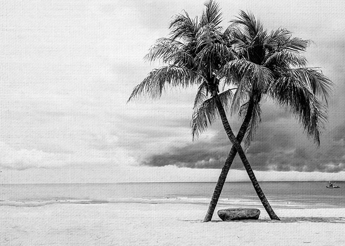 Ασπρόμαυροι Πίνακες – Παραλία με φοίνικες 