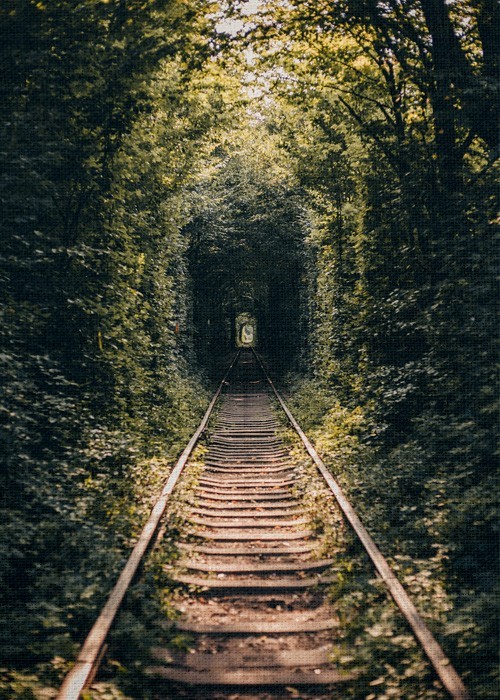Τοπίο με Γραμμές τρένου στο δάσος σε Πίνακα