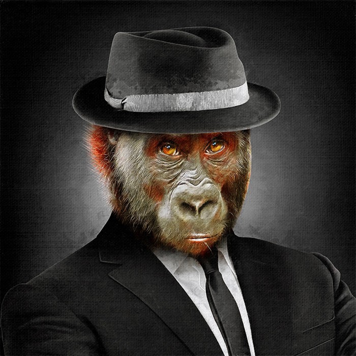 Art photos Πίνακες με μια Κομψή μαϊμού