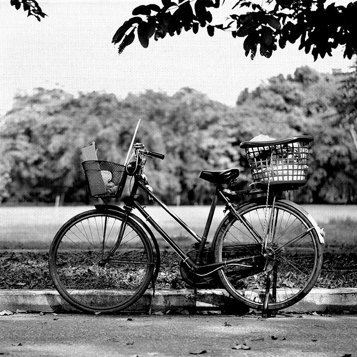 Ασπρόμαυρος Πίνακας με Ποδήλατο στο πάρκο