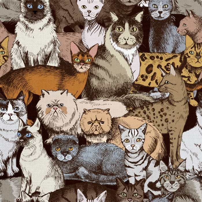 Παιδικά Πίνακας και Πολύχρωμες γάτες