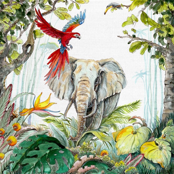 Παιδικά Πίνακας και Παπαγάλος και ελέφαντας