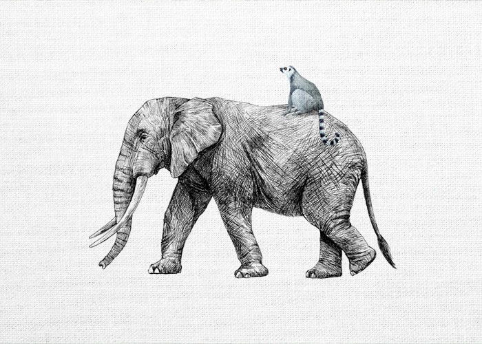 Παιδικά Πίνακας Βόλτα με τον ελέφαντα