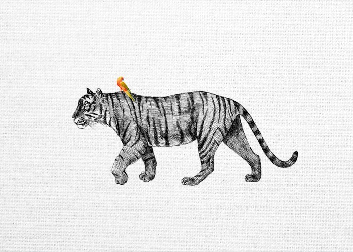 Παιδικά Πίνακας Βόλτα με την τίγρη