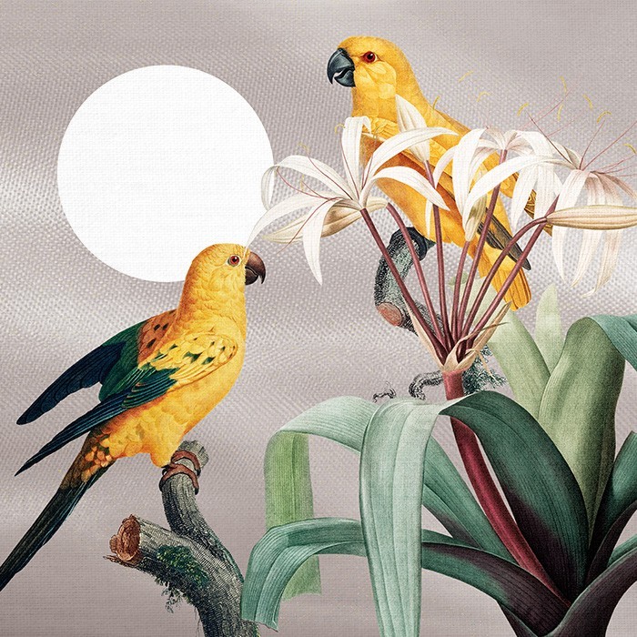 Gold Πίνακες – Yellow Parrots