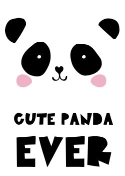 Cute panda ever