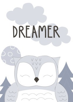 Owl dreamer