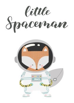 Fox Little Spaceman