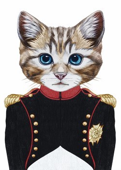 Γάτα αξιωματικός