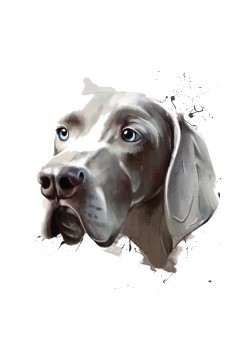 Πορτρέτο Σκύλου
