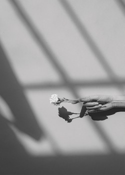 Χέρι που προσφέρει λουλούδι