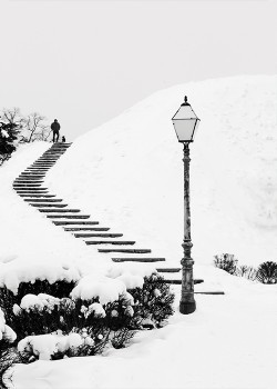 Χιονισμένο τοπίο με σκάλα