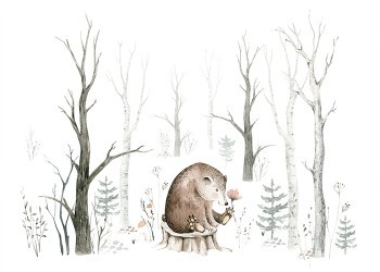 Αρκούδα στο δάσος