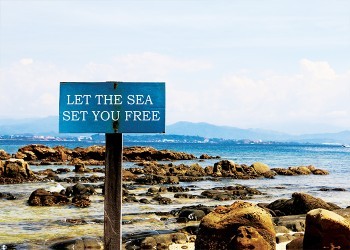 Let the Sea, Set you free