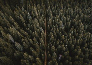 Δάσος από ψηλά