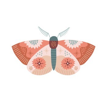 Πολύχρωμη πεταλούδα