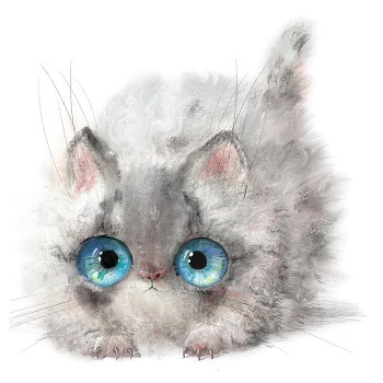 Γκρι γατάκι με γαλανά μάτια
