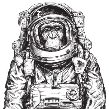 Μαϊμού αστροναύτης