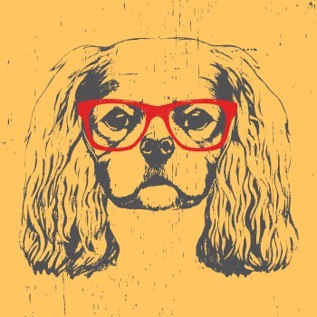 Σκύλος με κόκκινα γυαλιά
