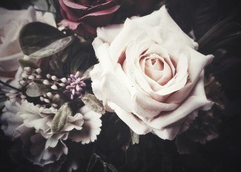 Vintage τριαντάφυλλα