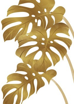Gold monstera leaves
