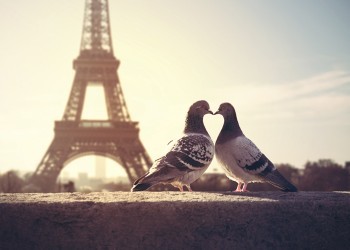 Ερωτευμένα περιστέρια στο Παρίσι