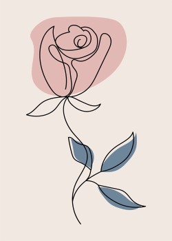 Pink Line Rose