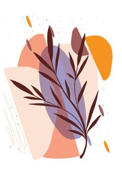 Olive Leaves
