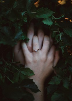 Holding Hands