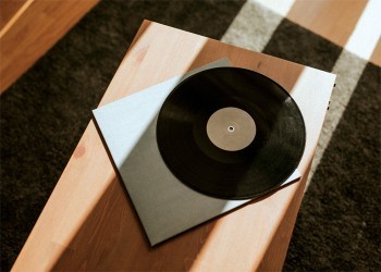 Vinyl