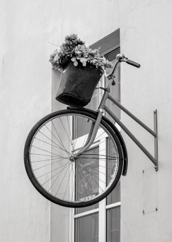 Rustic Bike