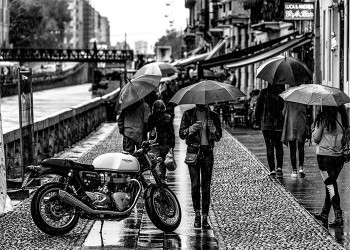 Rainy Day