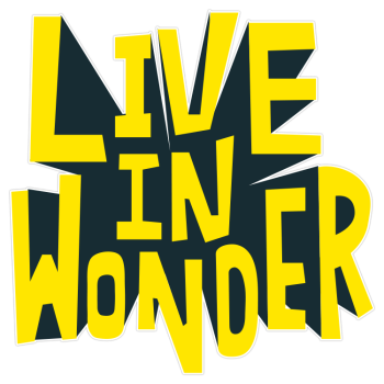 Live in wonder