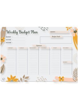 Weekly Budget Plan
