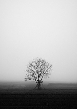 Melancholy