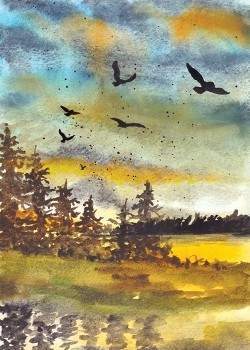 Flying Birds