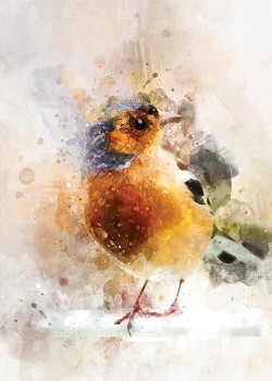 Abstract Painted Bird