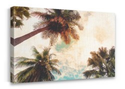 Φοίνικες στον ουρανό