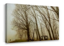 Καλύβα στο δάσος