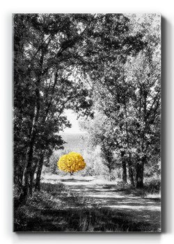 Κίτρινο δέντρο στο δάσος