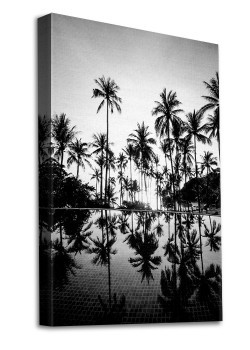 Φοίνικες σε πισίνες