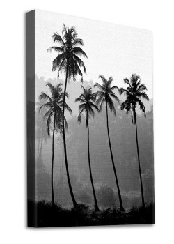 Φοίνικες σε δάσος