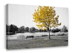 Παγκάκι σε τοπίο