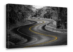 Δρόμος σε δάσος