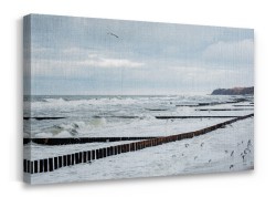 Γλάροι στα κύματα